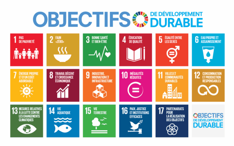 SDGs – Sustainable Development Goals